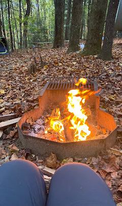 Black Forest Family Camping