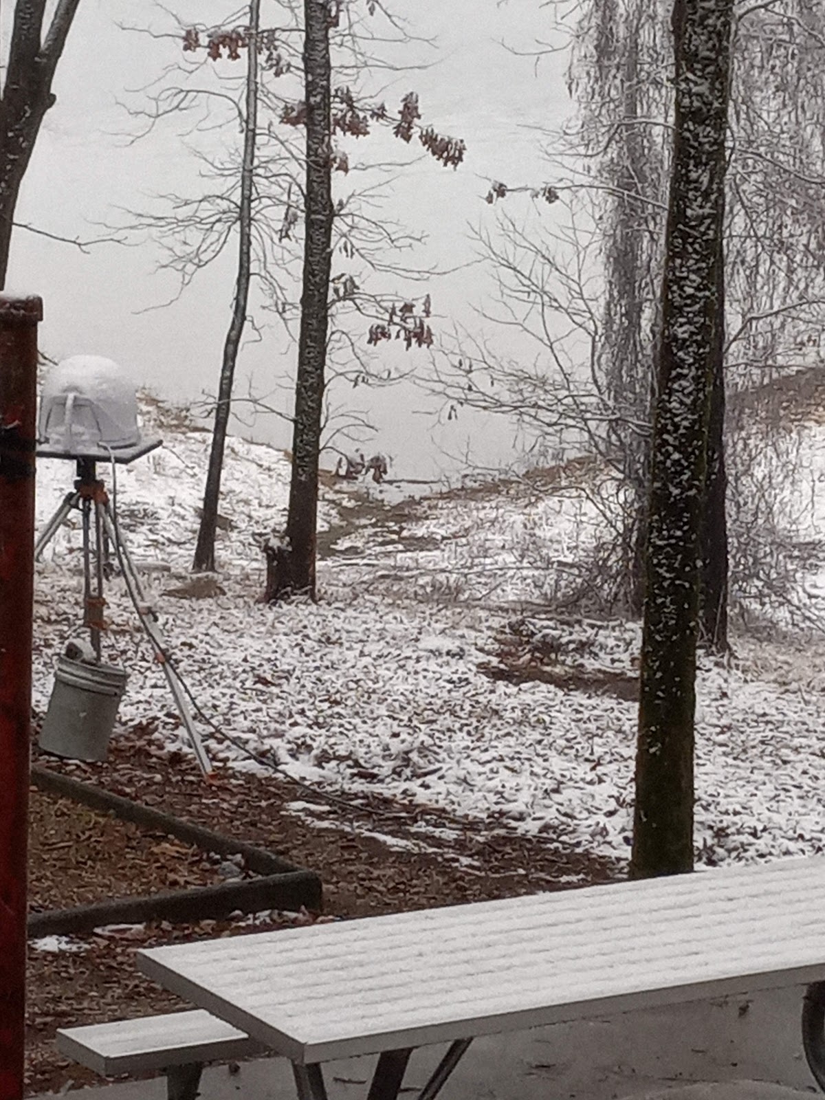 Alpine Ridge  De Gray Lake Camping