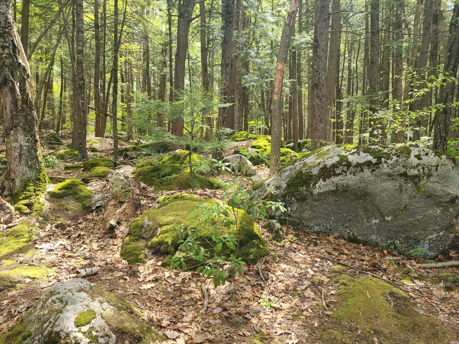 Burr Pond State Park