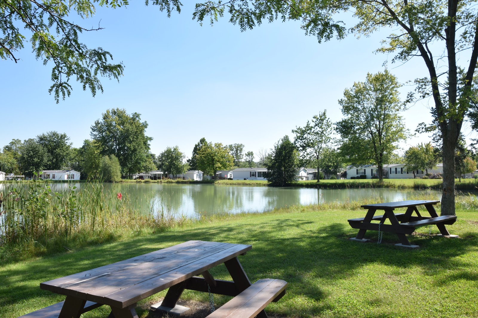 Bluffton Woods Mobile Home Community Camping