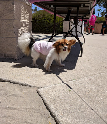 Newport Dunes Waterfront RV Resort