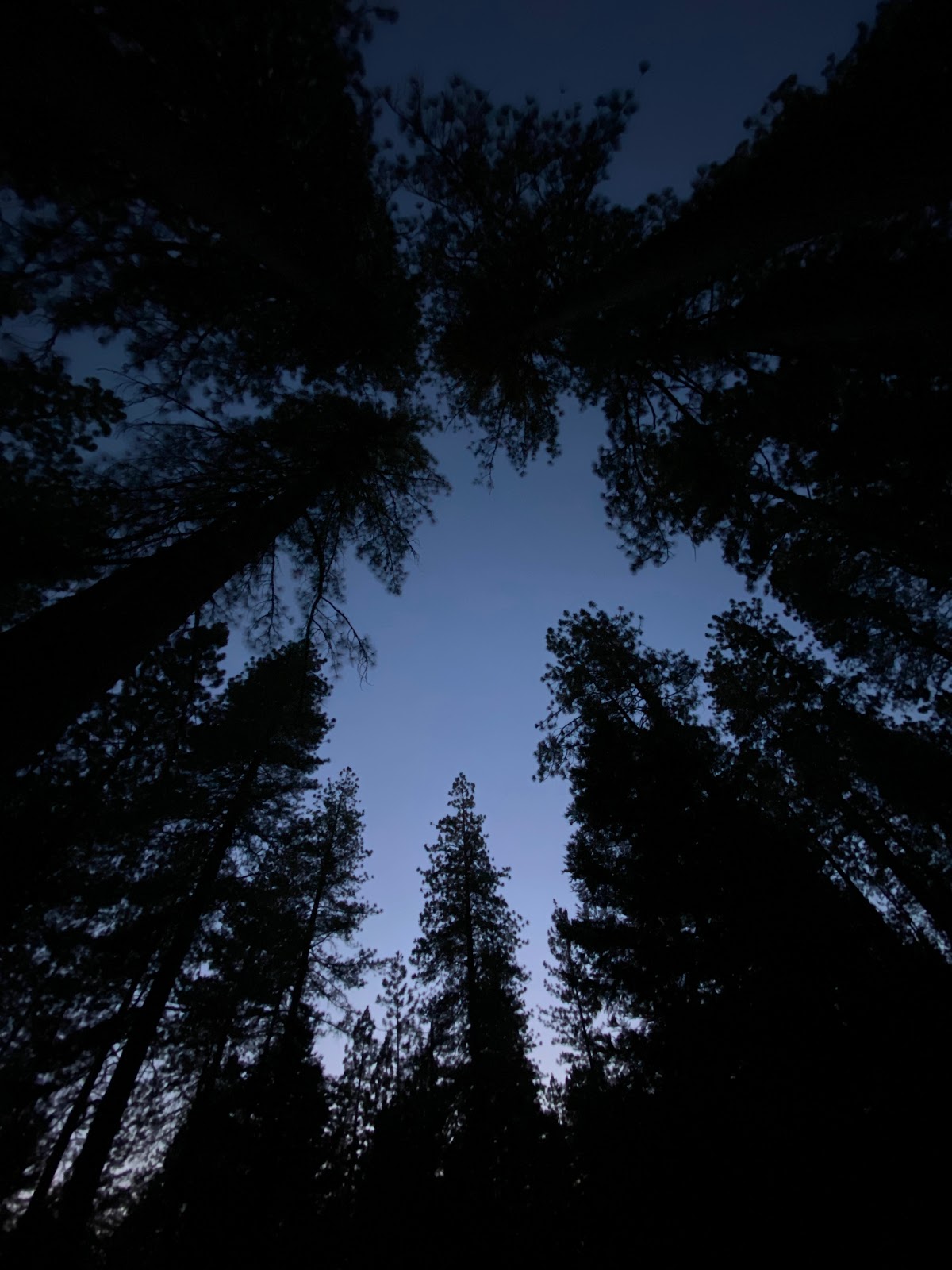 Woodchuck Campground