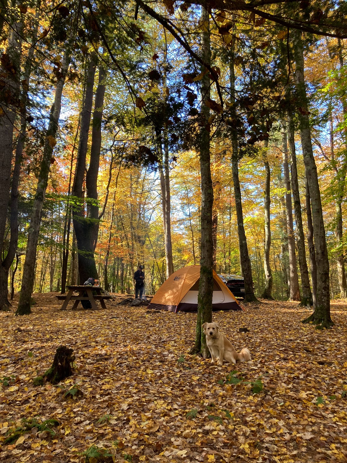 Happy Days Campground