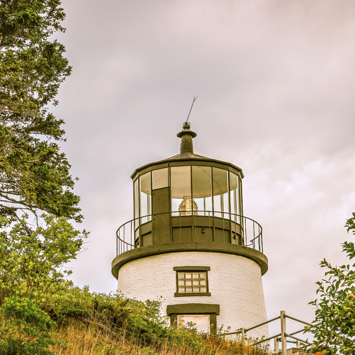 Megunticook Campground By The Sea