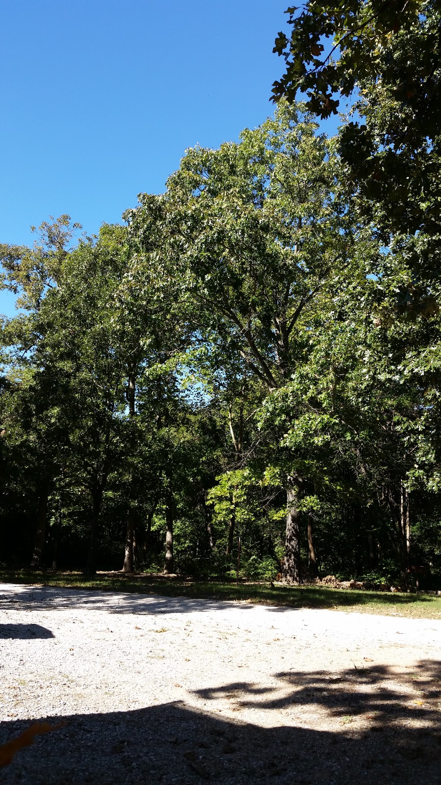 Rogers/Pea Ridge Garden RV