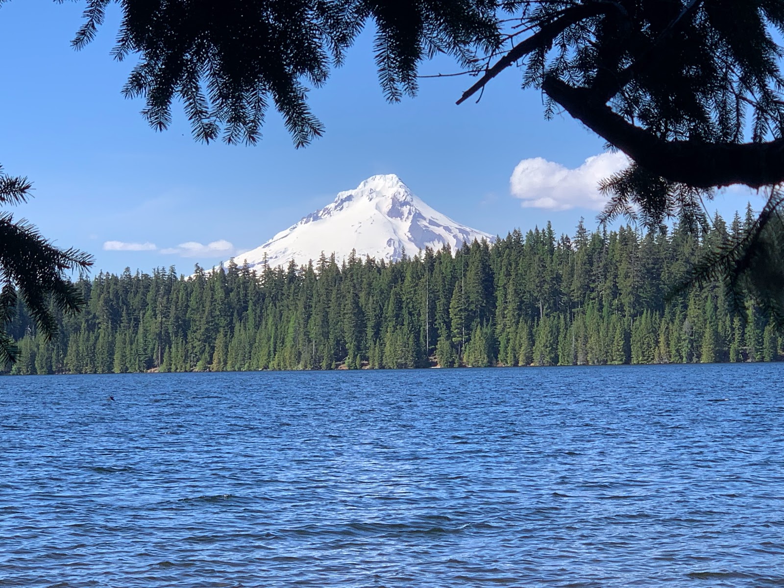 Gone Creek Campground