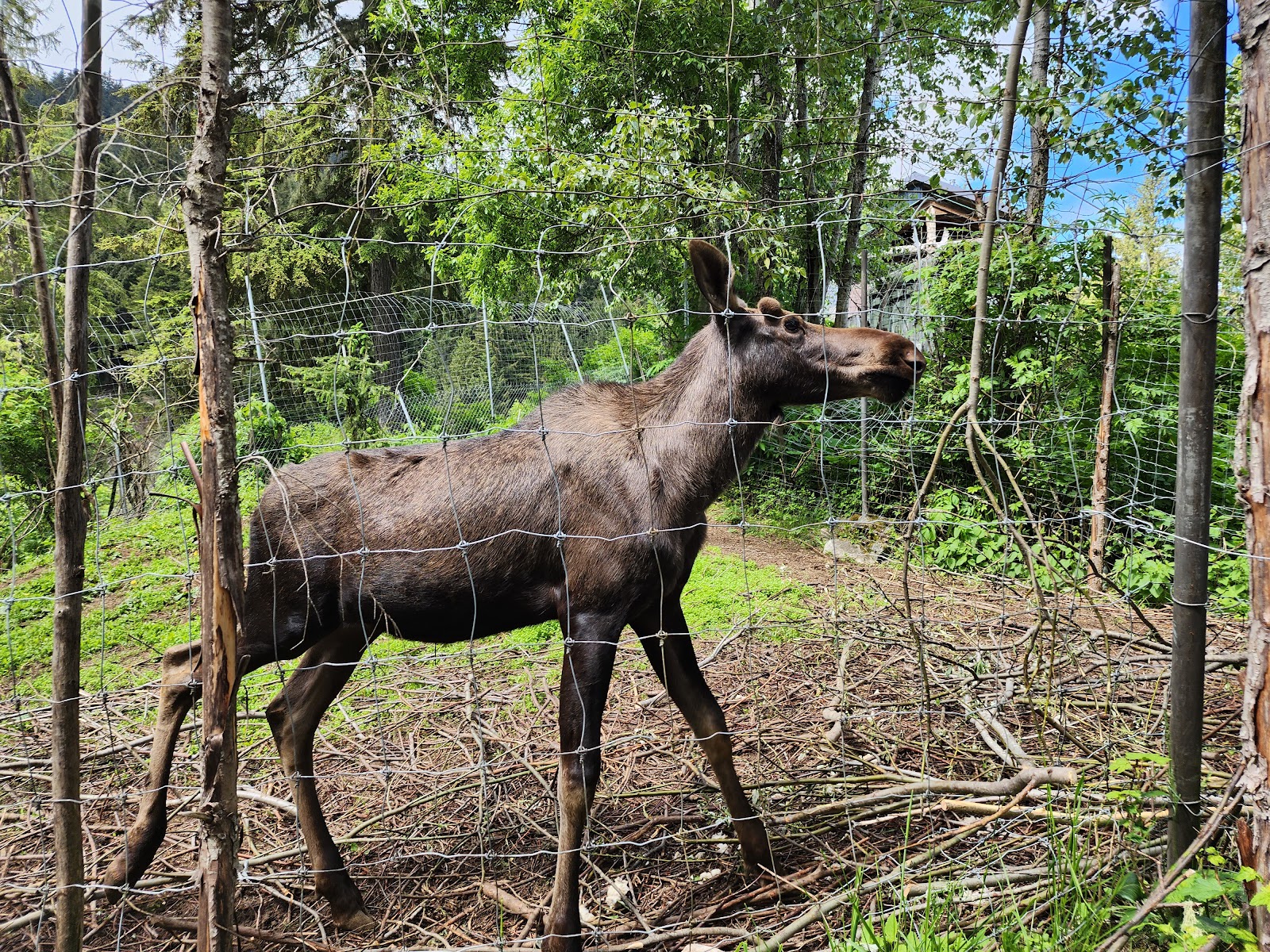 The Kroschel Wildlife Center