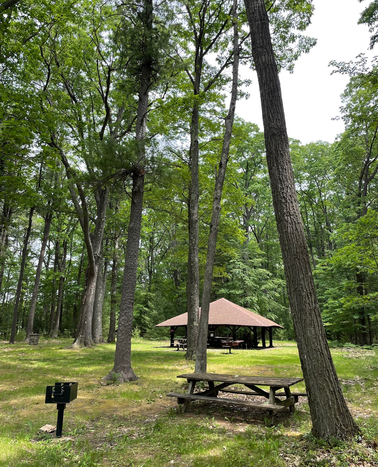 Simon B Elliott State Park