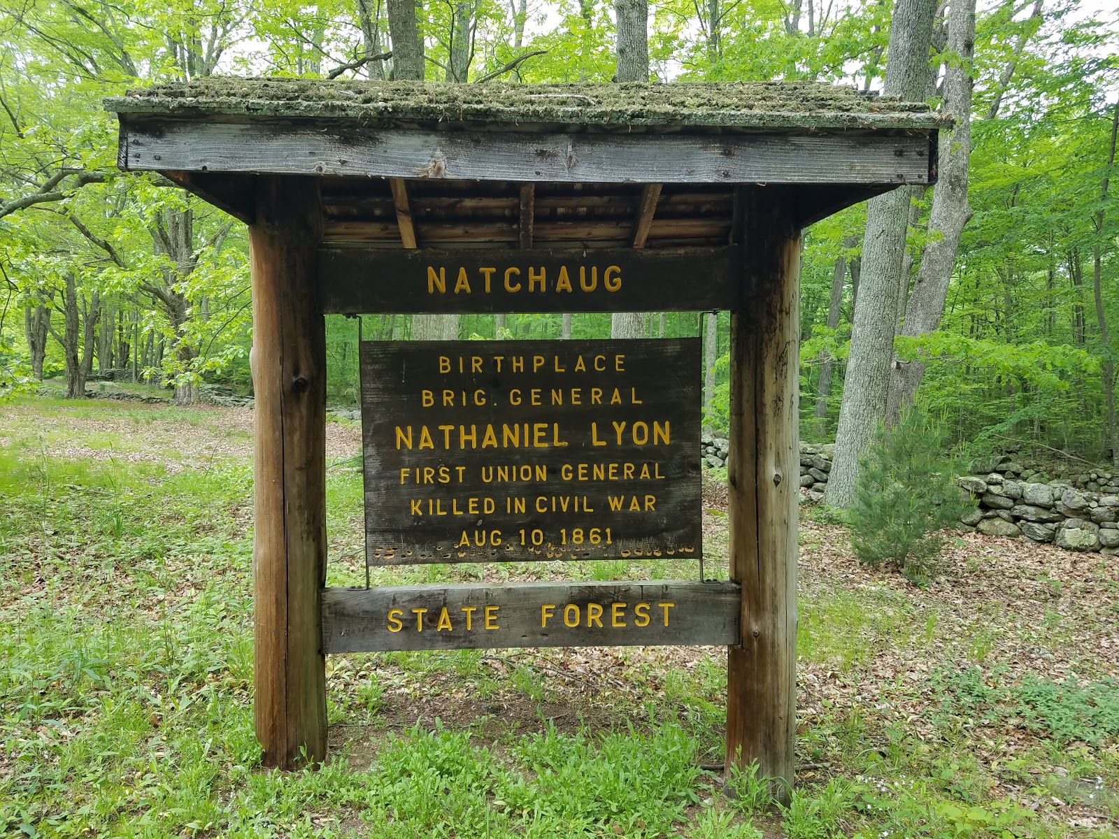 Natchaug State Forest