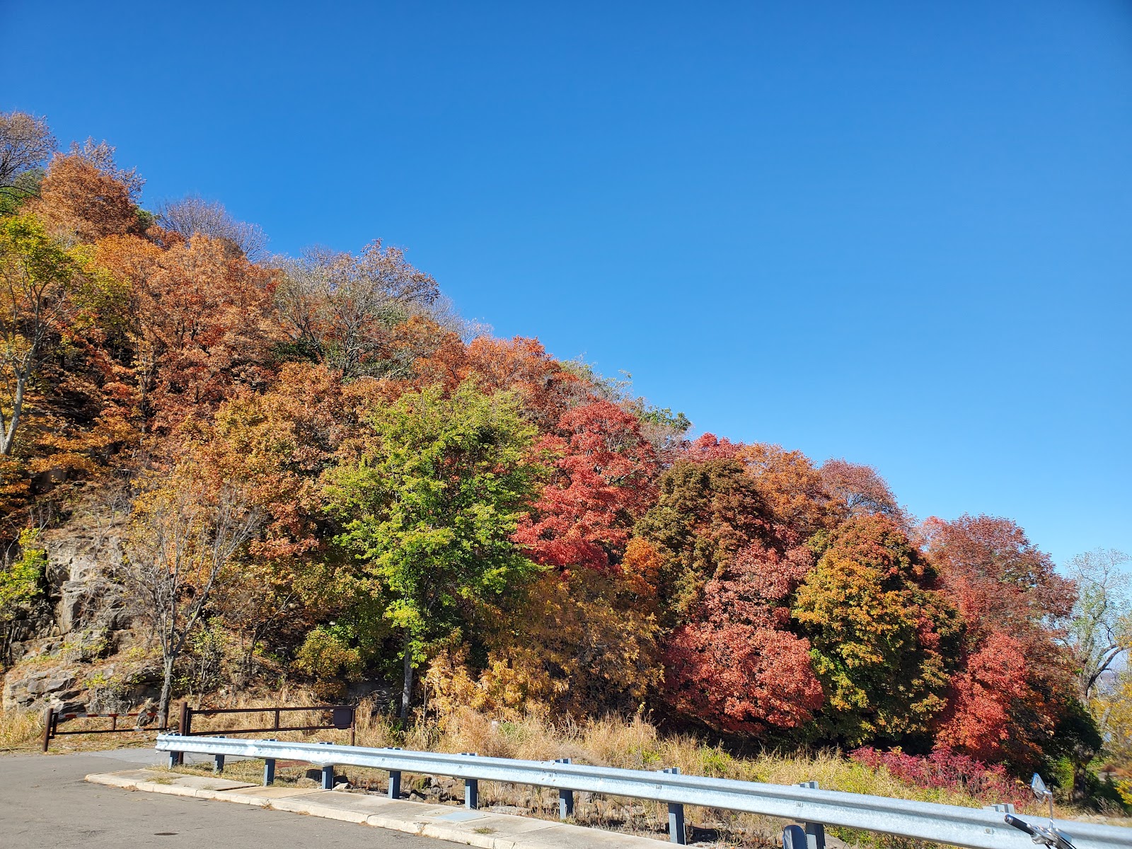 COE Taylor Ferry Camping