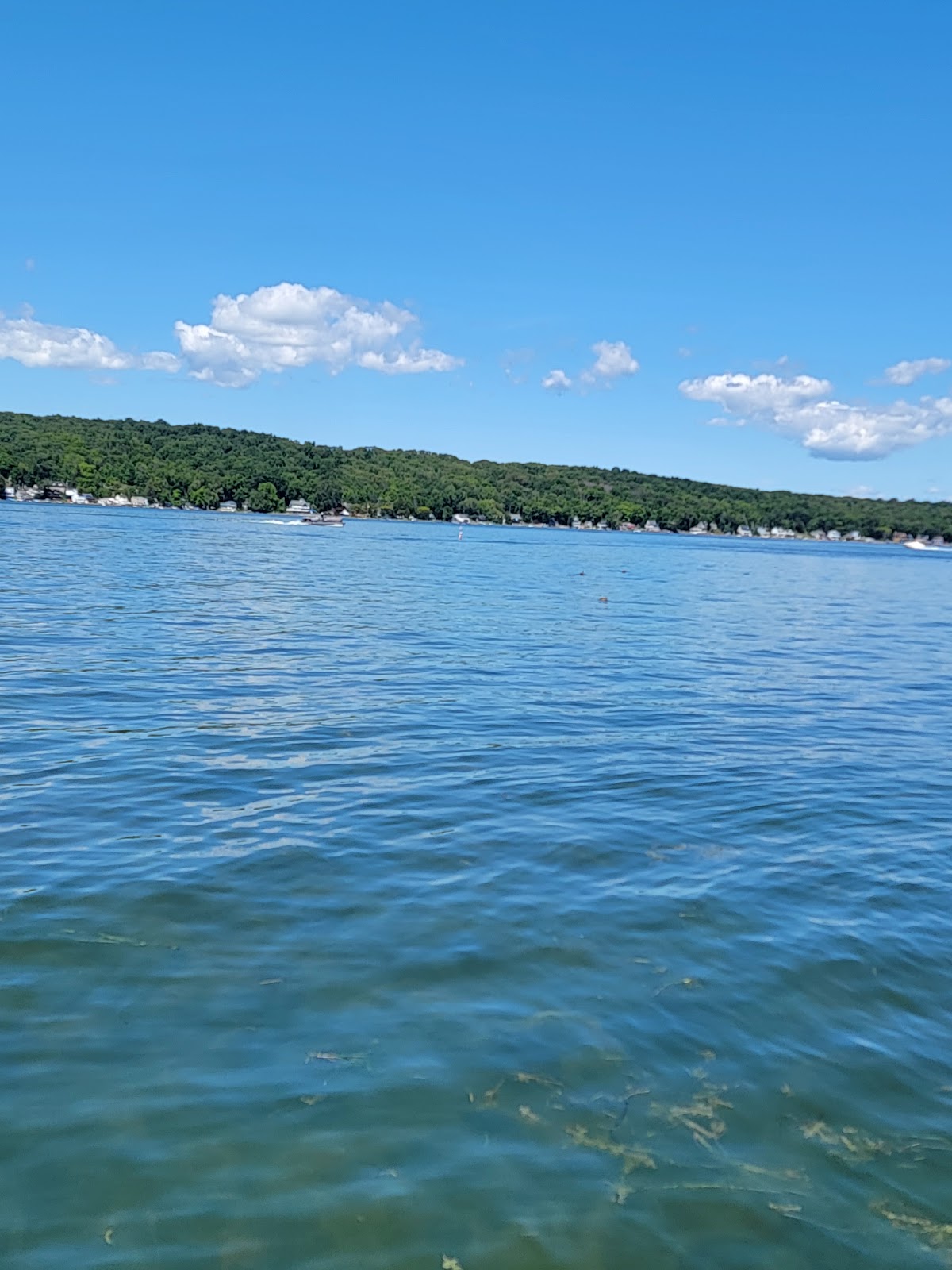 Conesus Lake Campground