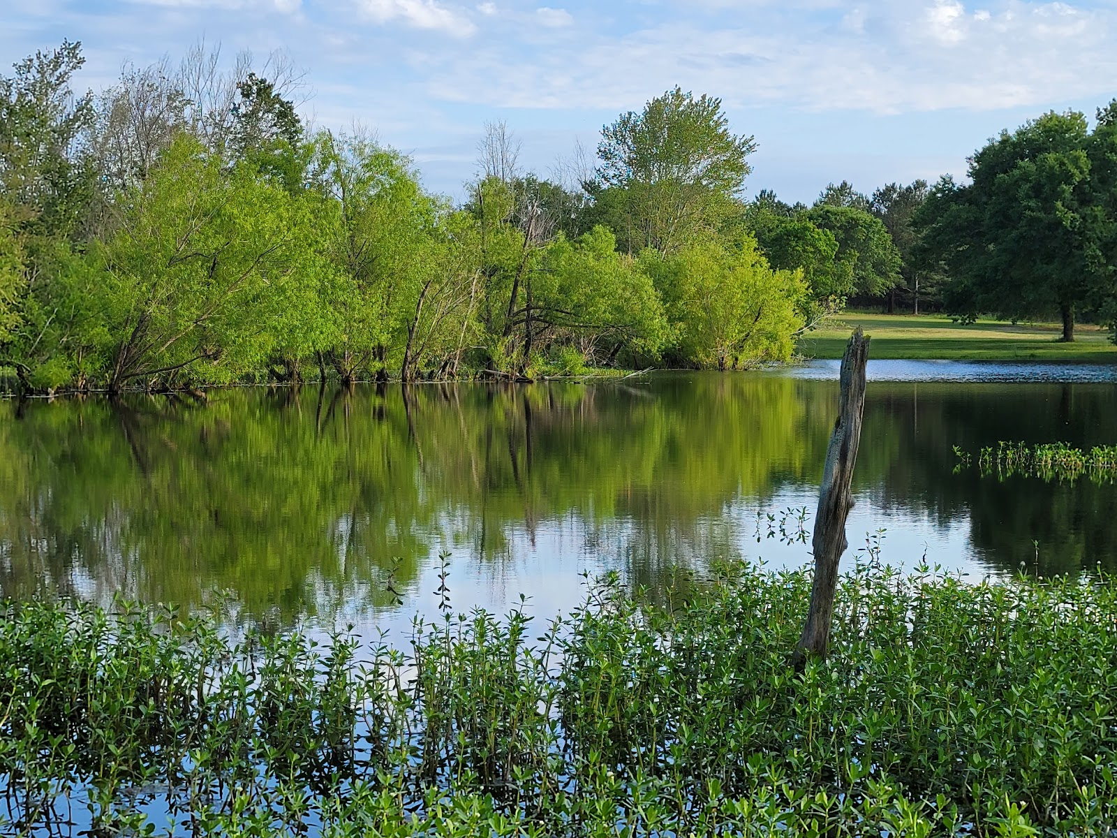 The Woods Golf Course & RV Park