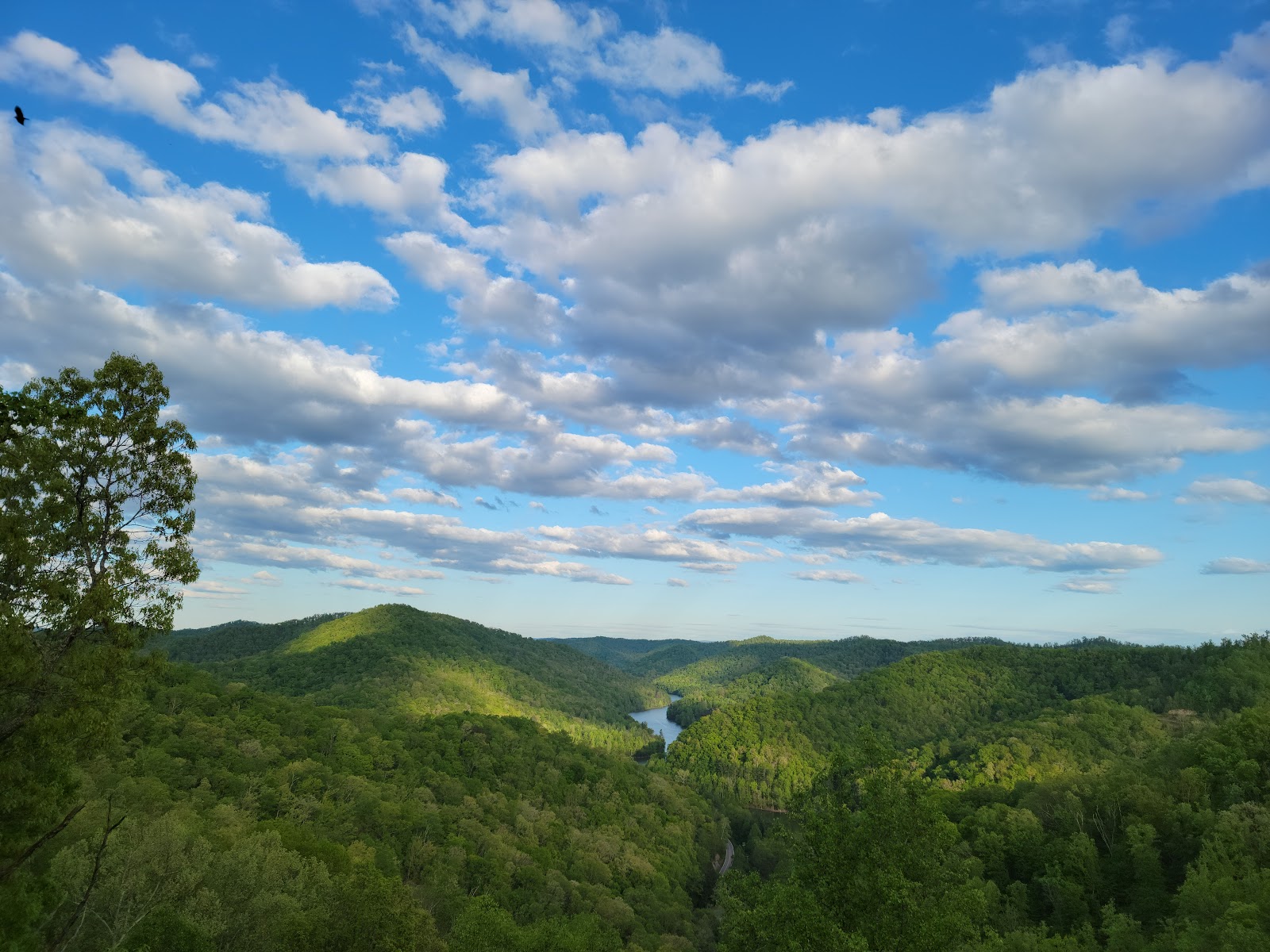 Jenny Wiley State Resort Park
