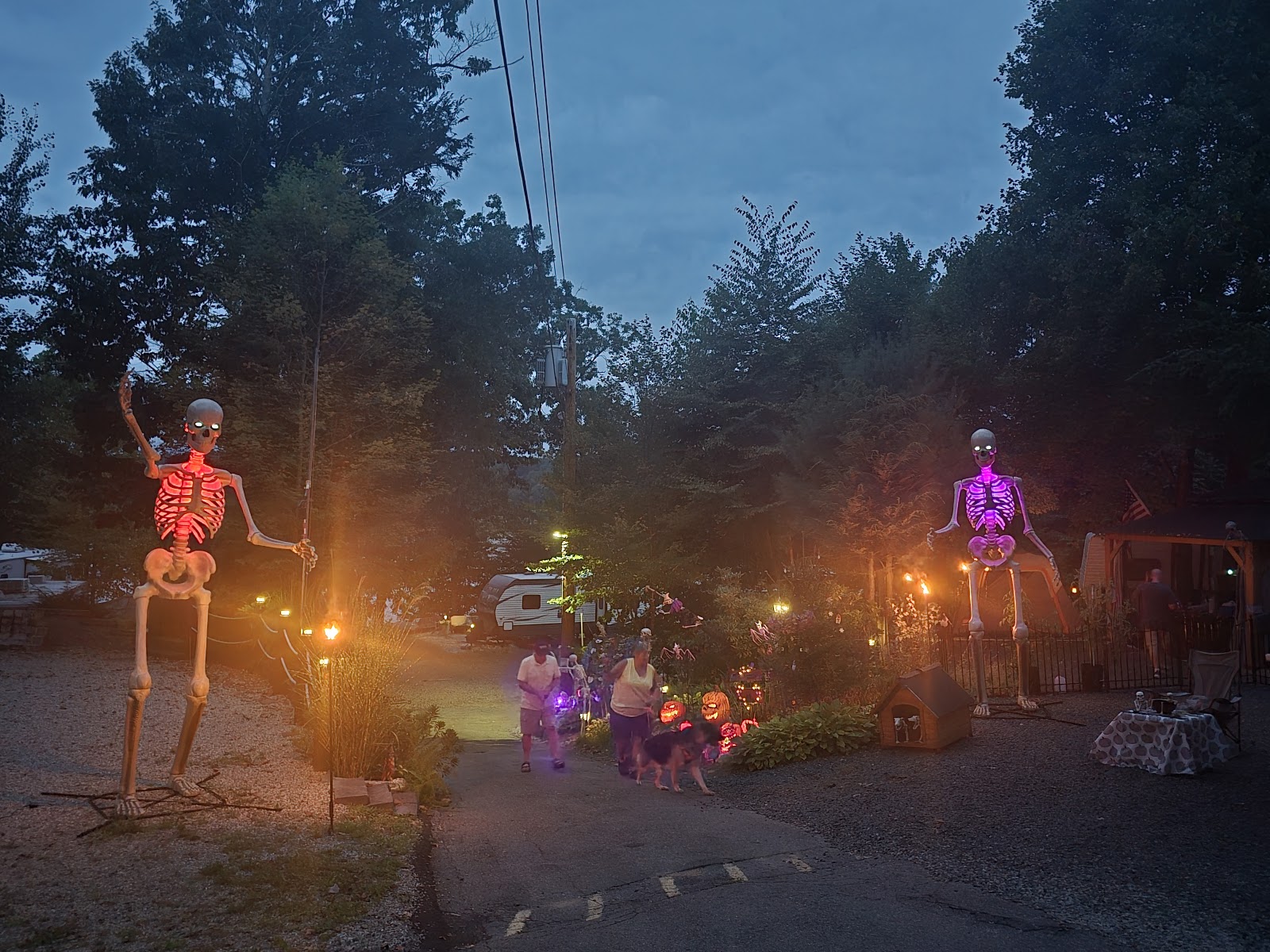 Quinebaug Cove Campsite
