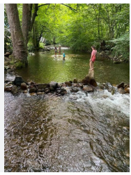 Fish Springs at Little Pond Mountain Campground