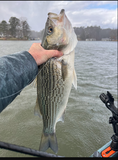 Hyco Lake State Park Campground