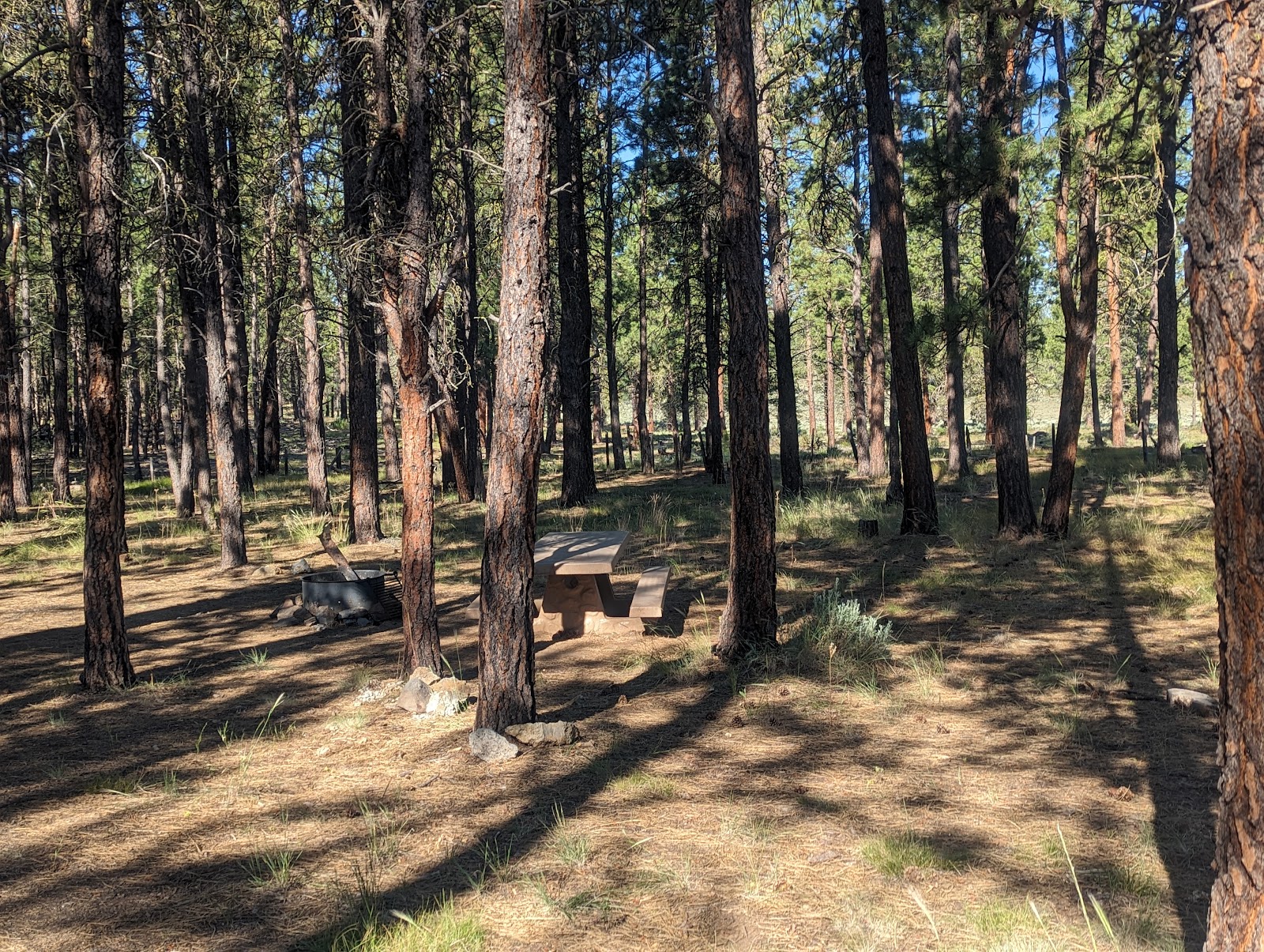 Joaquin Miller Horse Campground
