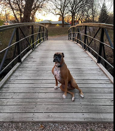 Streeter Municipal Park