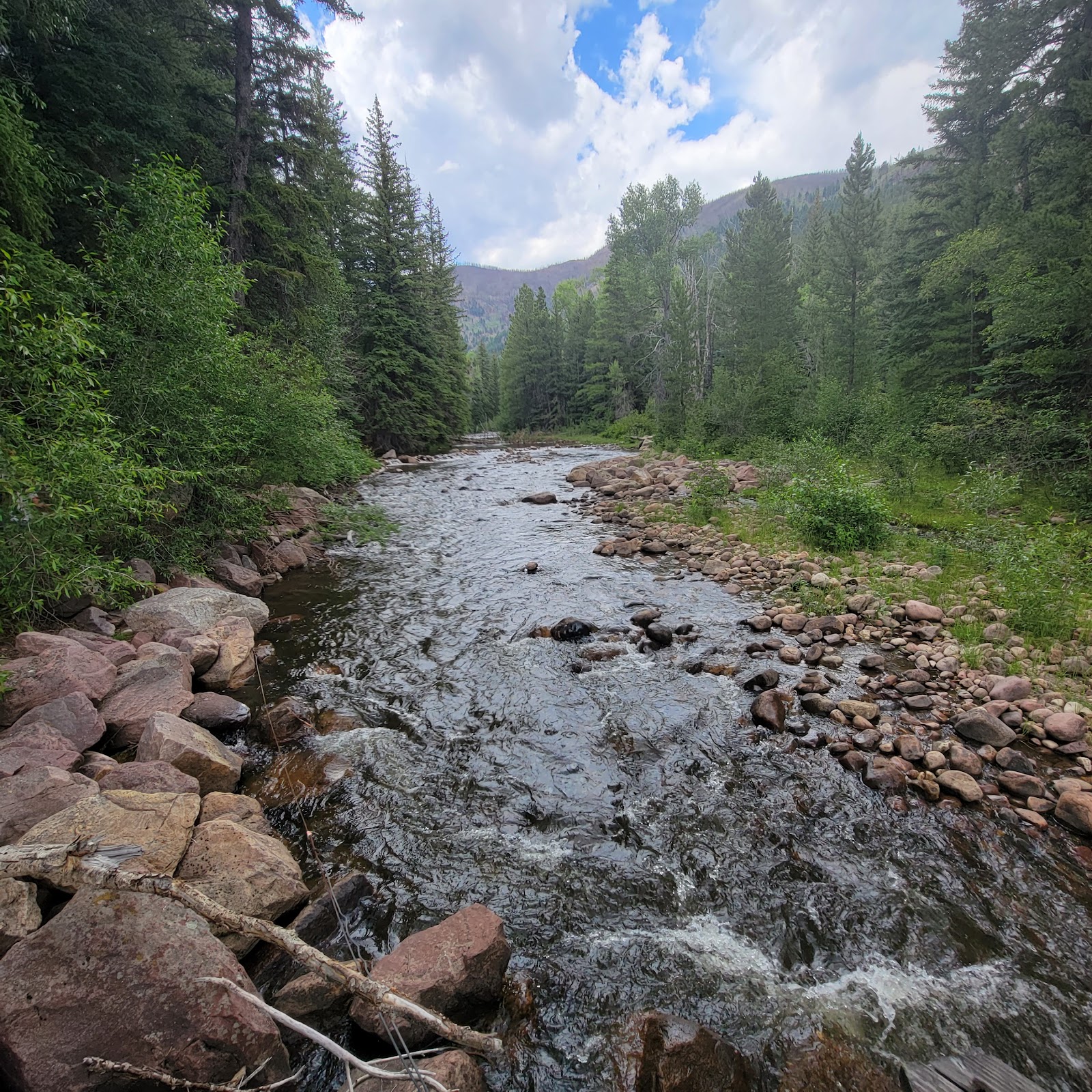 Yellow Pine Campground