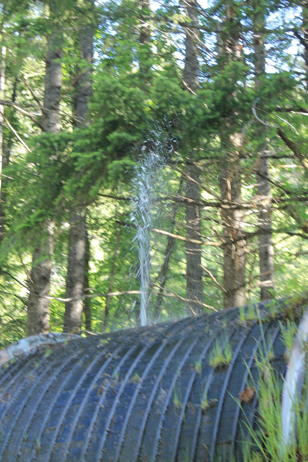 Whitehorse Falls Campground