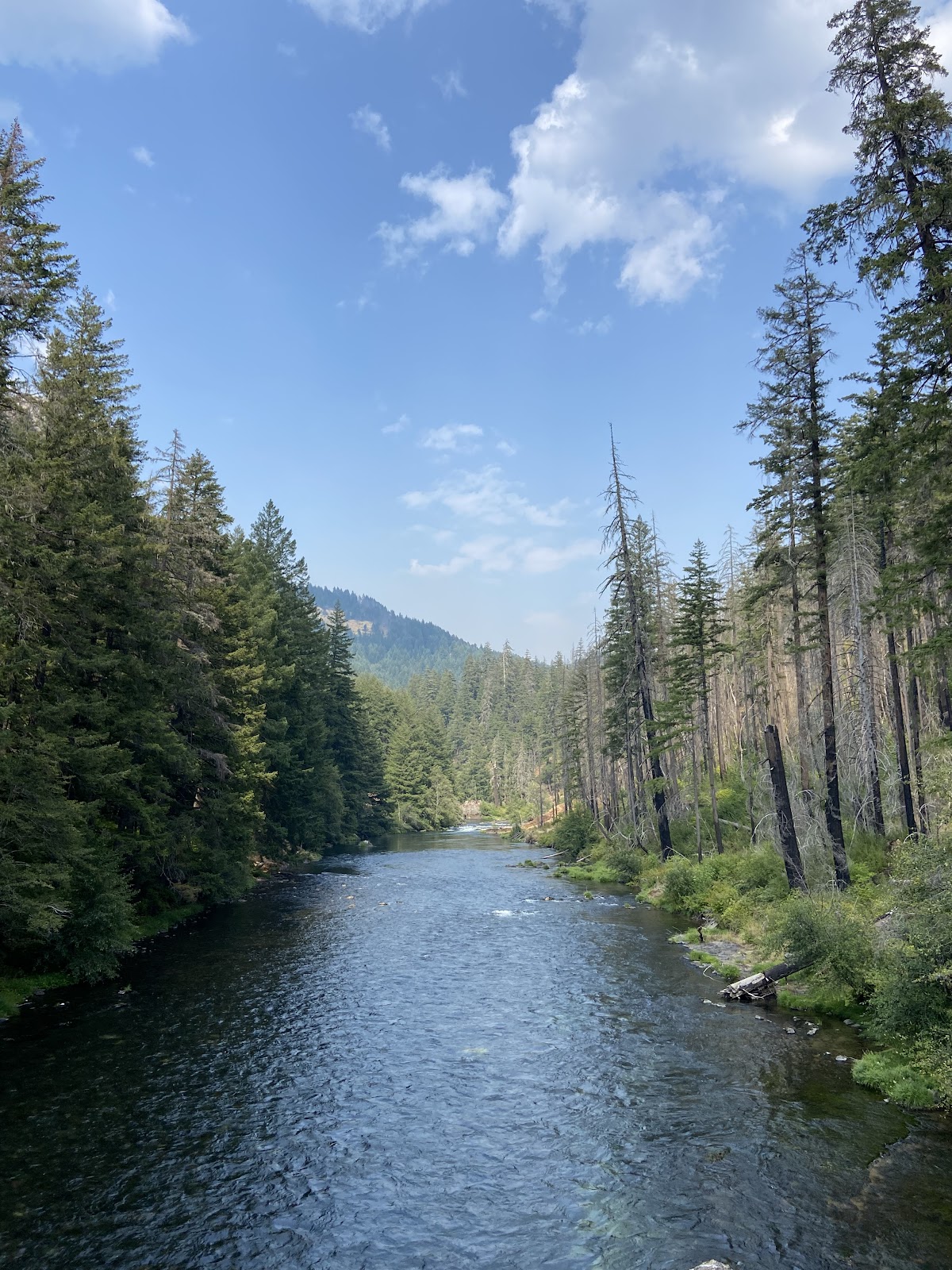 Horseshoe Bend Campground