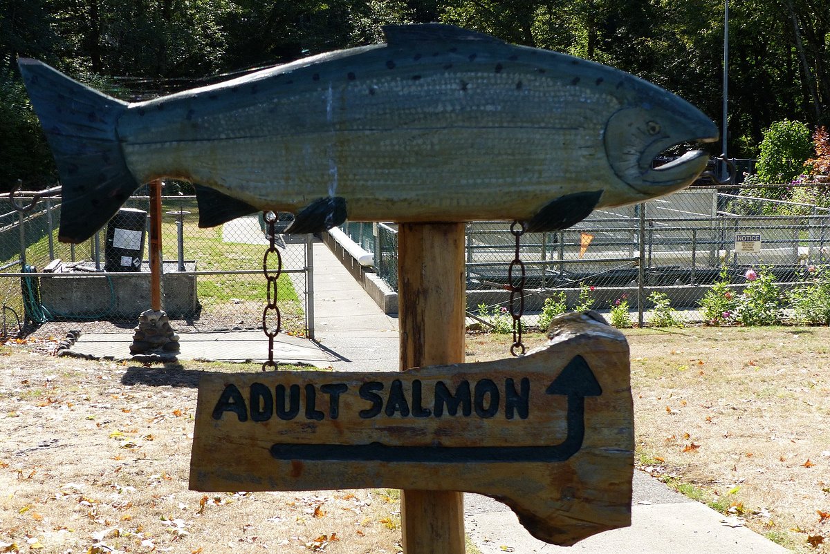 Milo McIver State Park