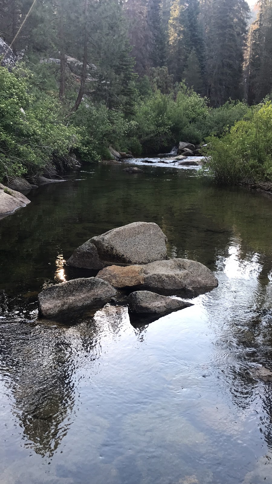 Dorst Creek Campground - Sequoia National Park