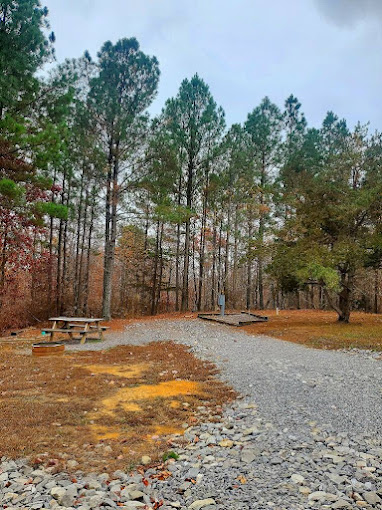 Sasquatch Farm Campground