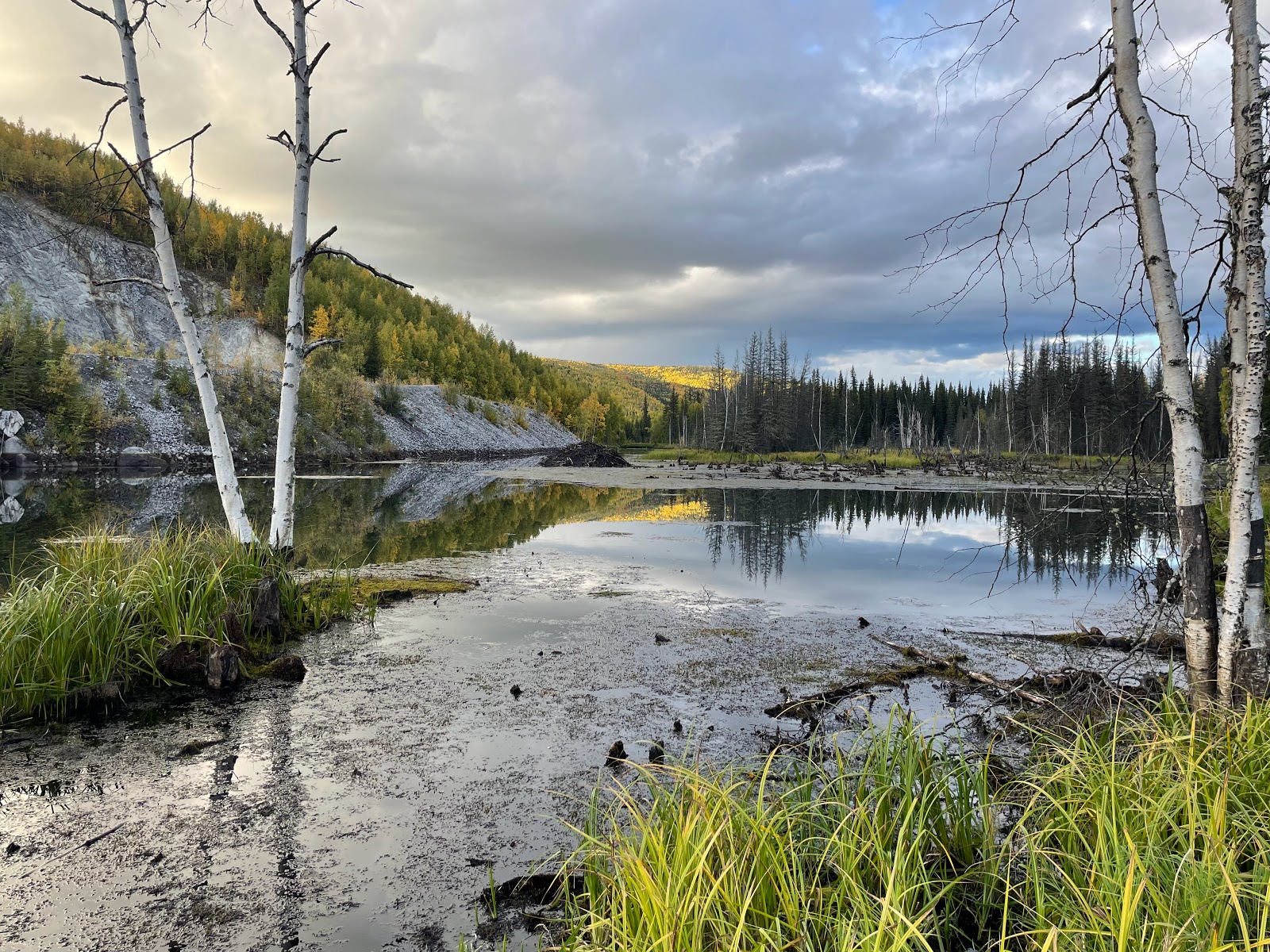 Tors Trail Campground