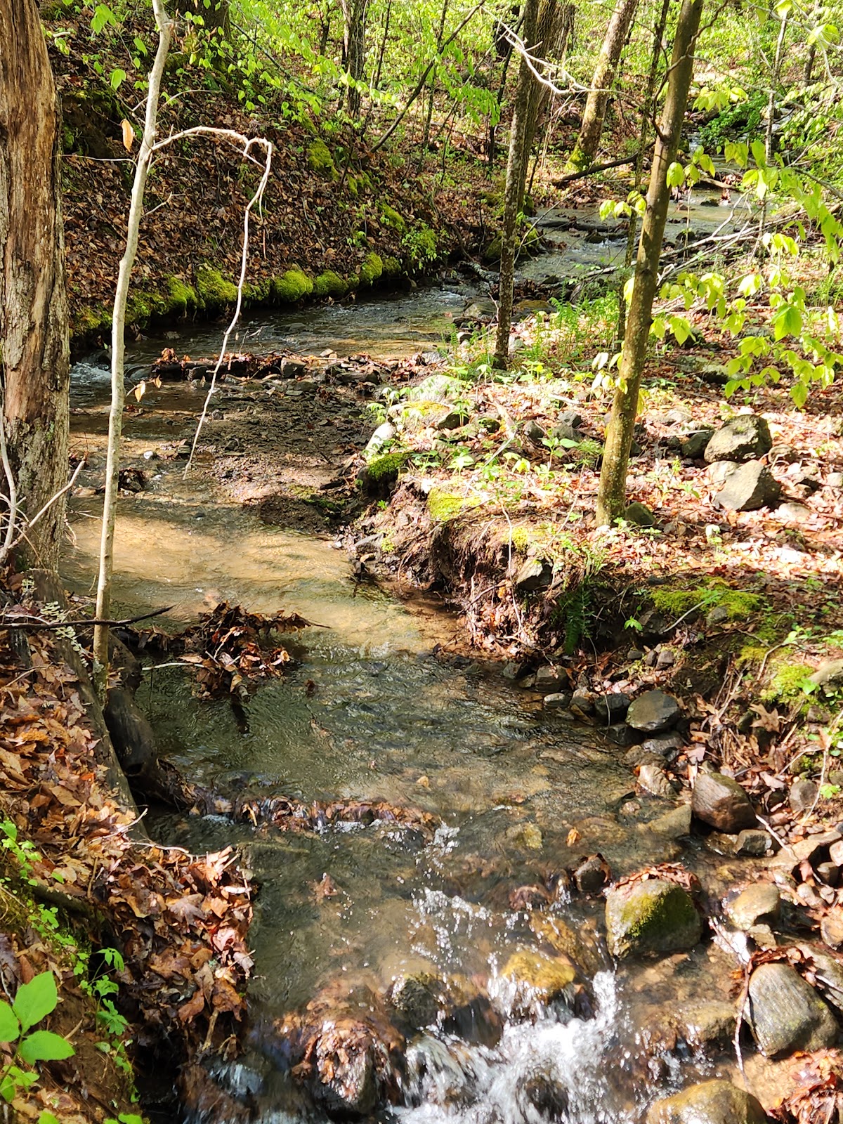Cave Mountain Lake Recreation Area