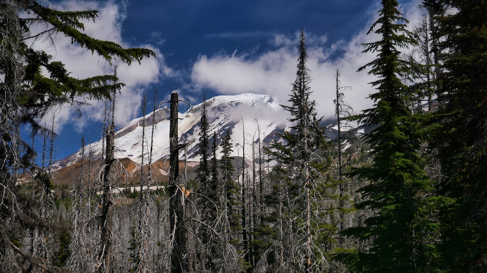 Morrison Creek Campground