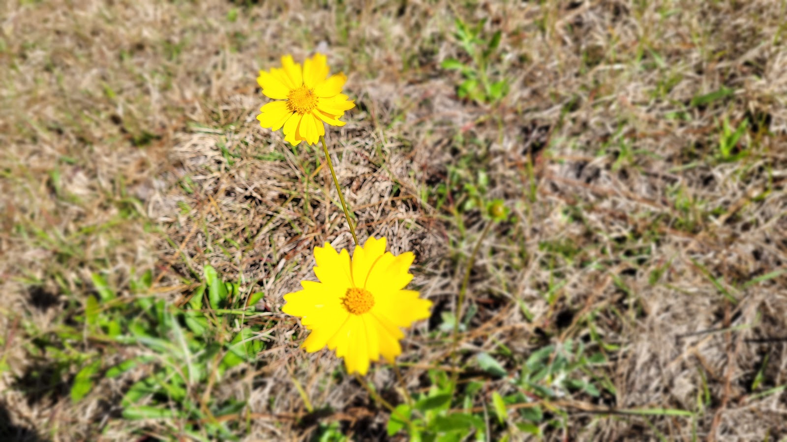 Hickory Landing and Hunt Camp