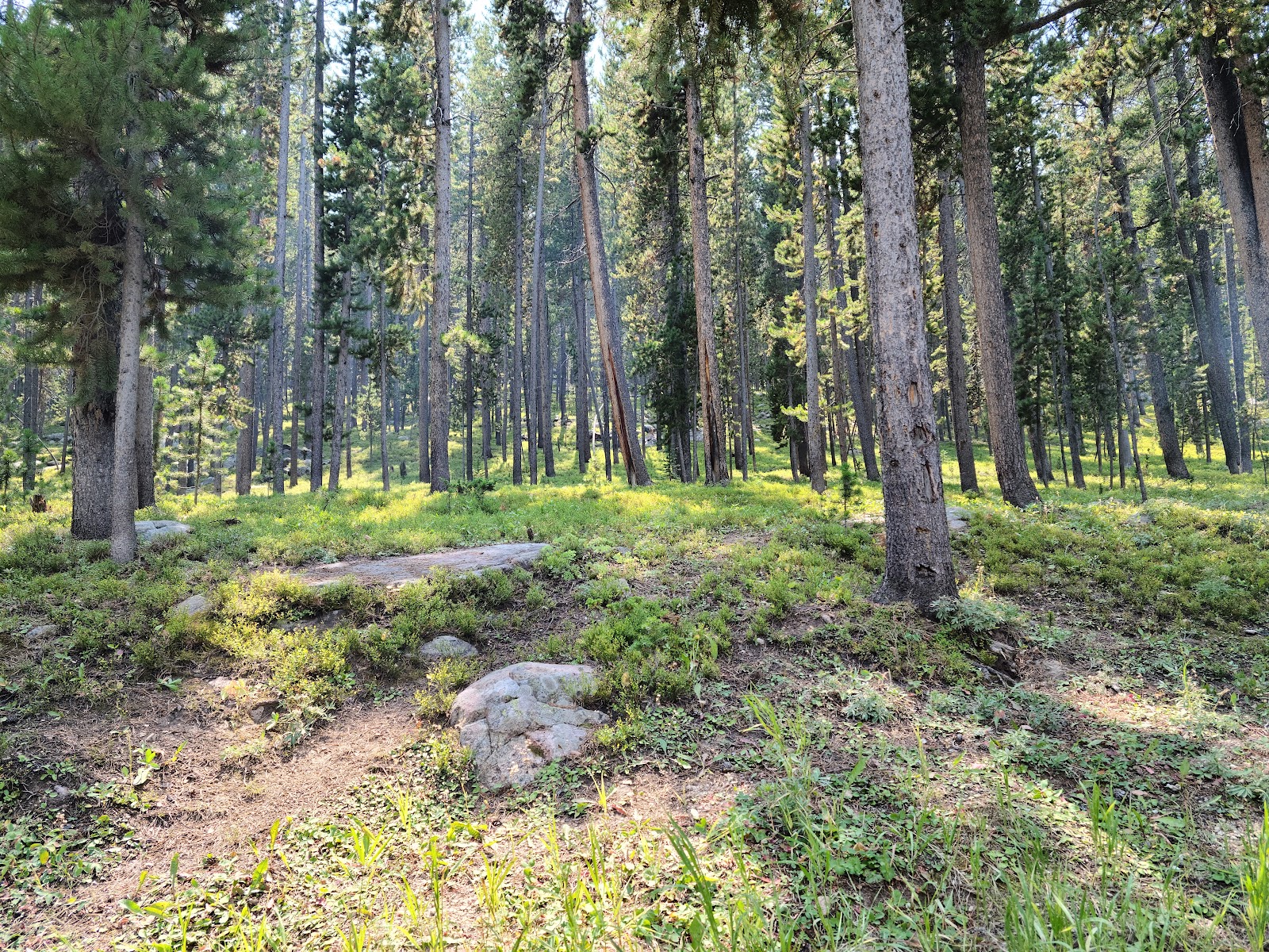 Sibley Lake Campground
