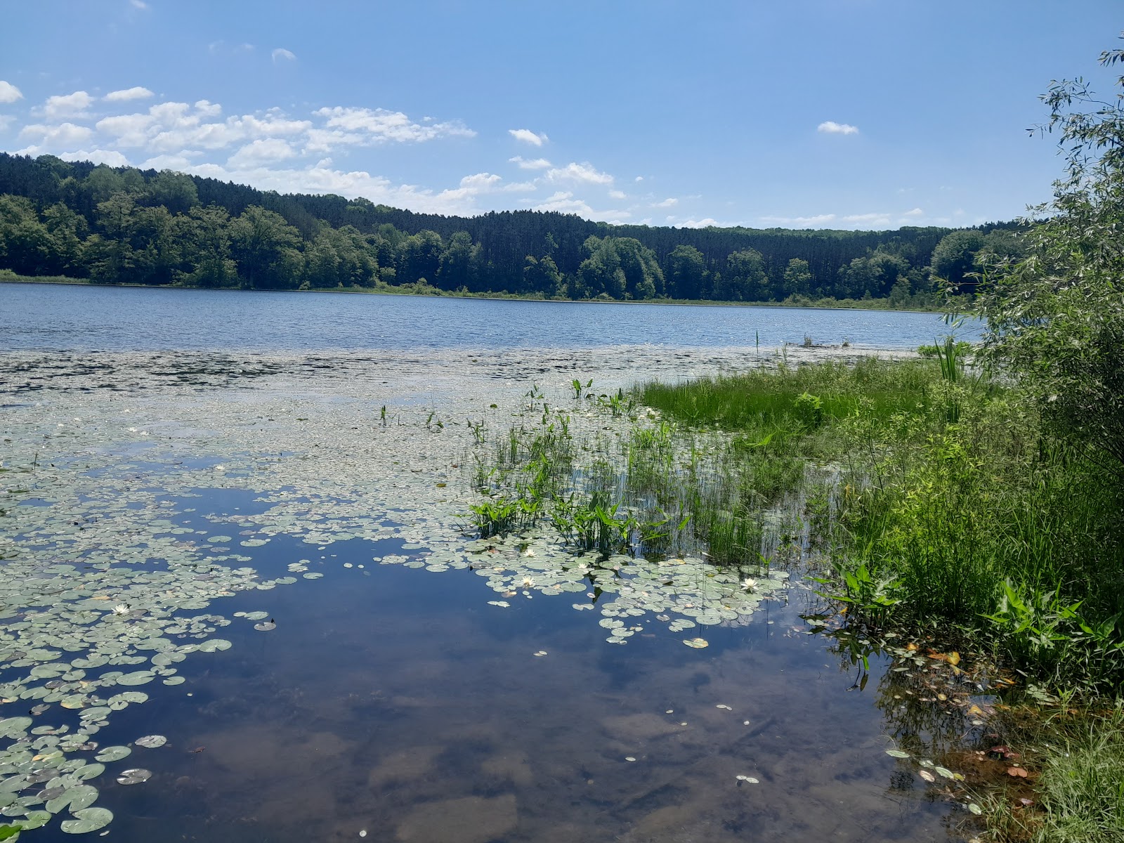 Brush Lake Campground
