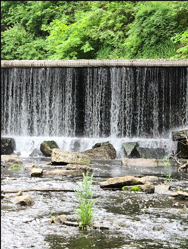 Union Grove State Park