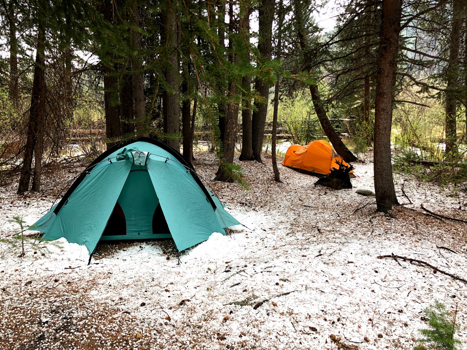 Angel Of Shavano Campground