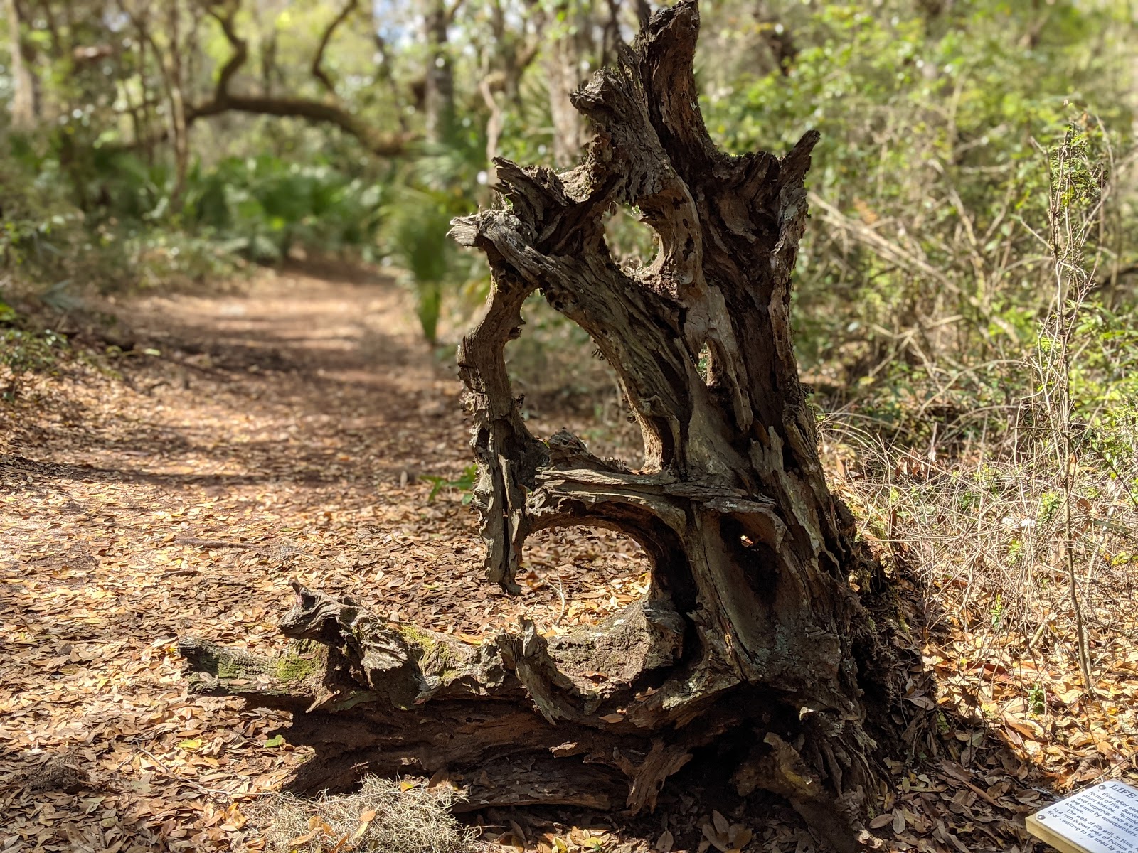 Lake Griffin State Park