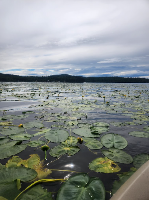 Birch Lake State Recreation Area