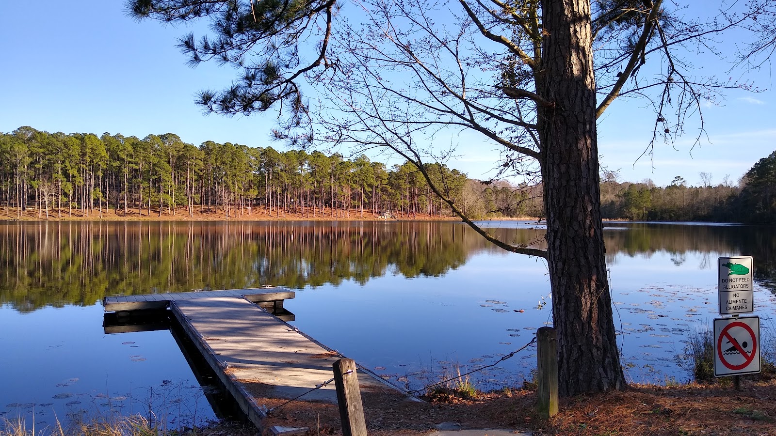 Gordonia-Alatamaha State Park Campground