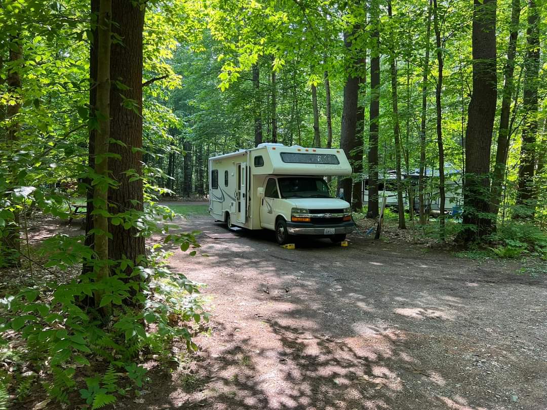 Tree Farm Campground