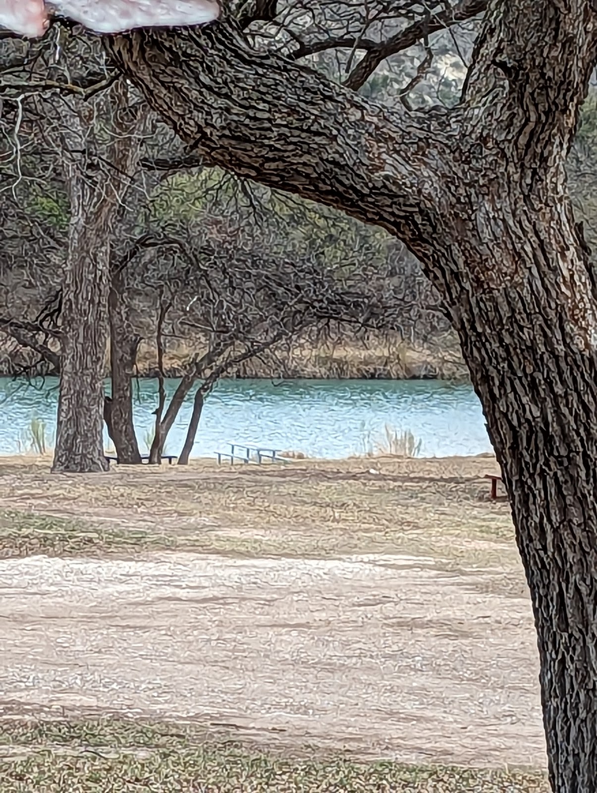 Morgan Shady RV Park