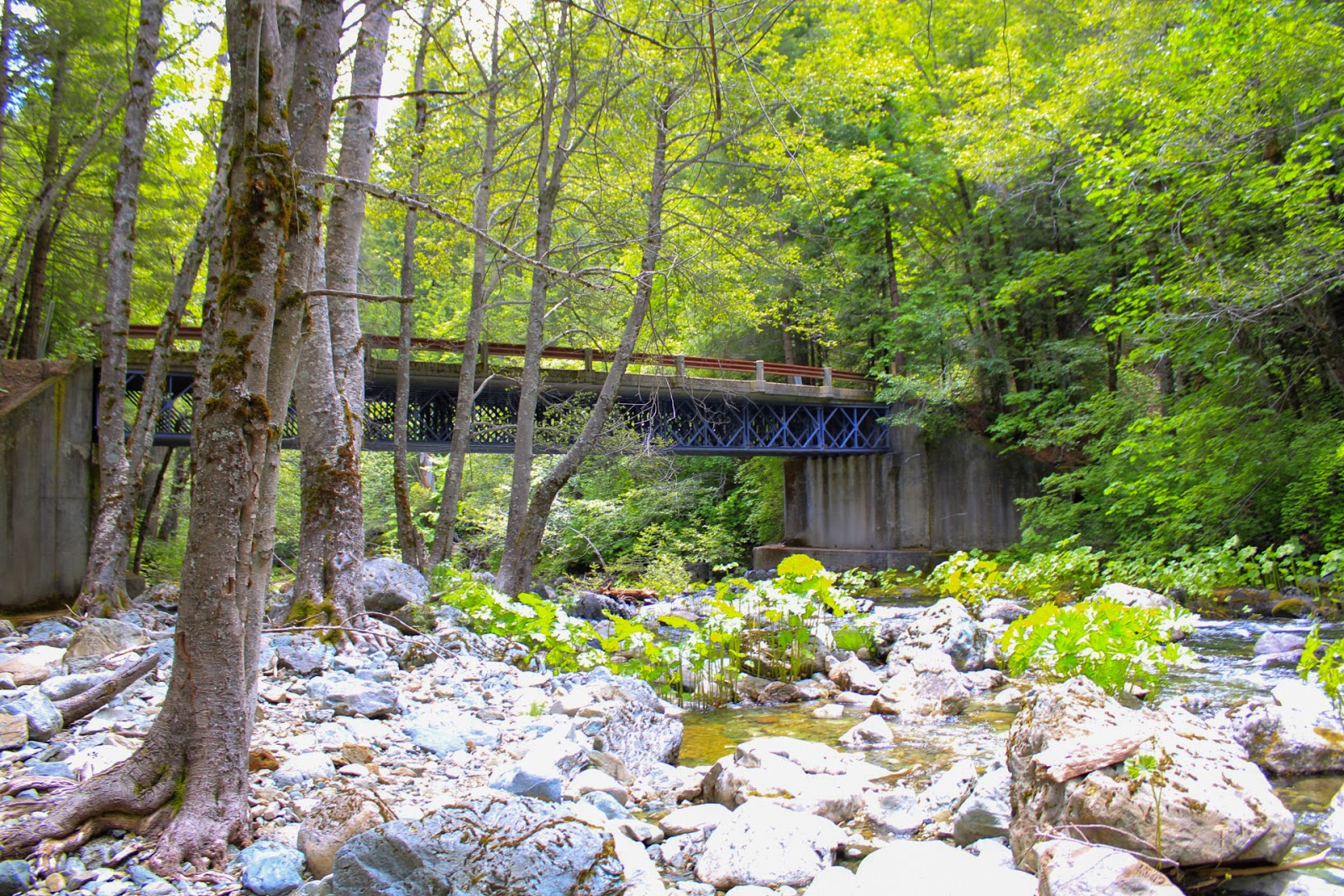 Little North Fork Campground