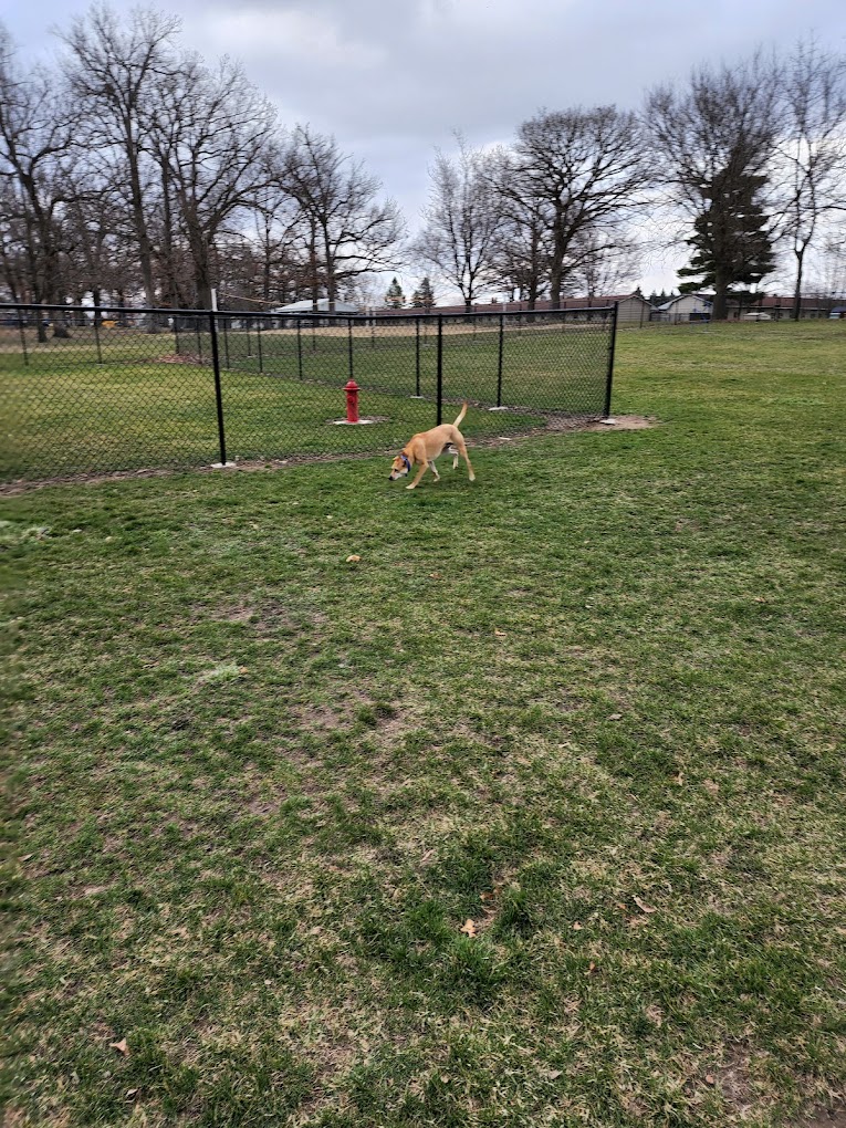 Oelwein City Park Campground