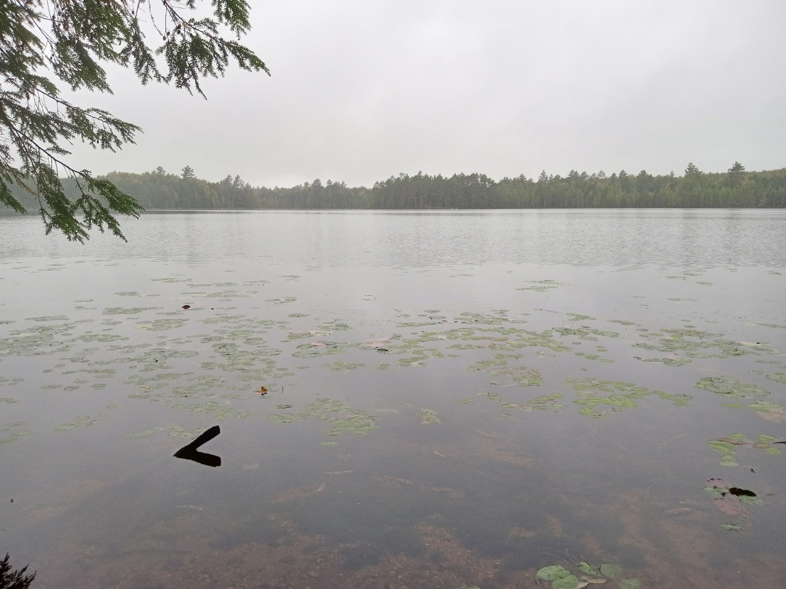 Wabasso Lake Campground