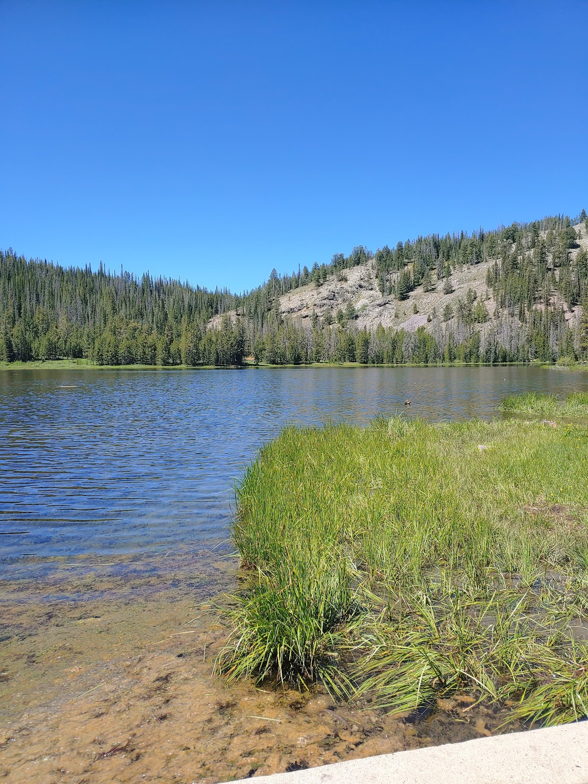 Bayhorse Lake Campground