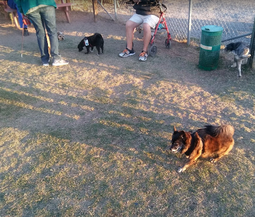 Yuma Lakes RV Resorts