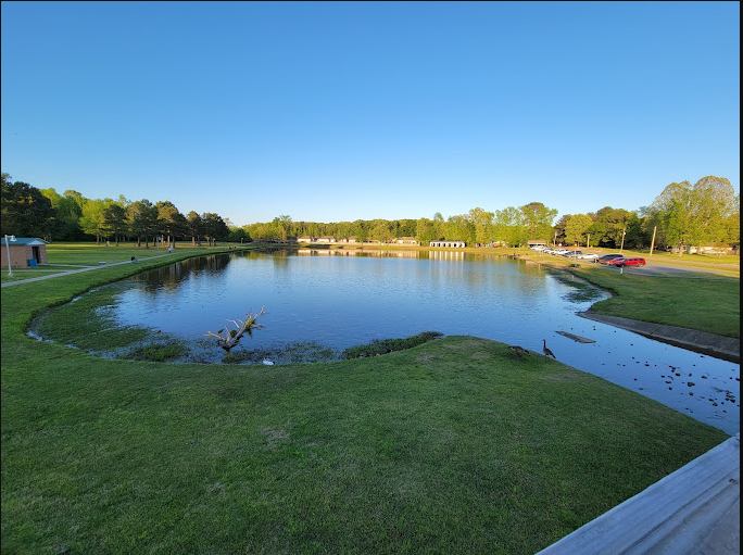 Cabot Community Pond & Walking Track