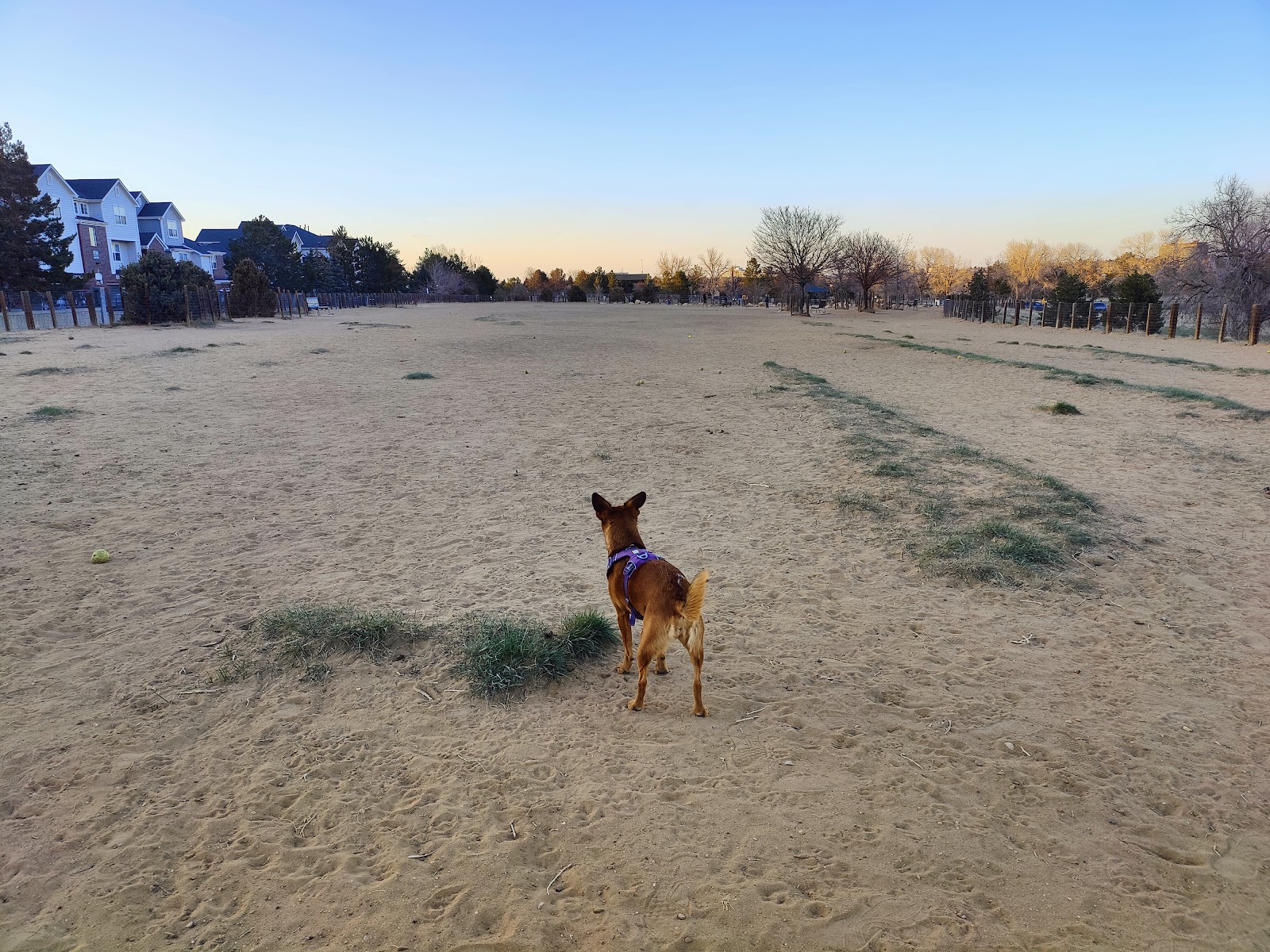 Kennedy Dog Park