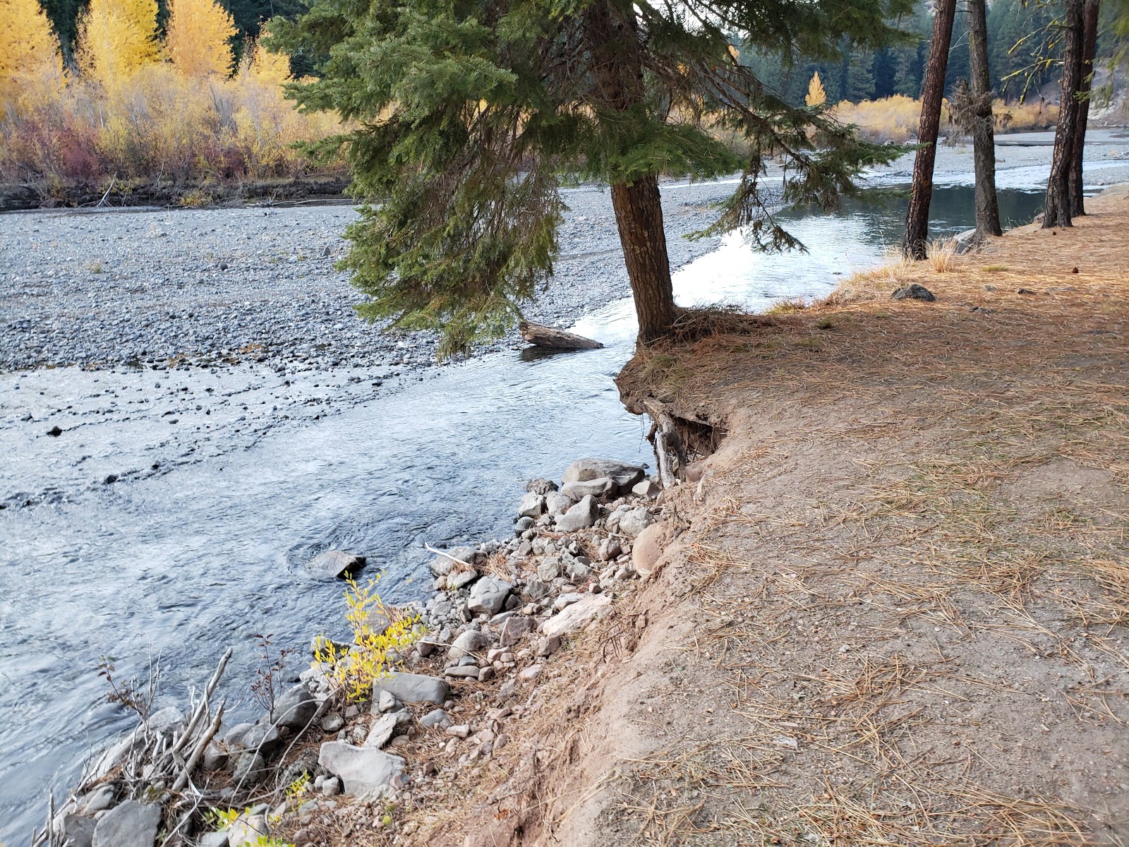 South Fork Group Campground