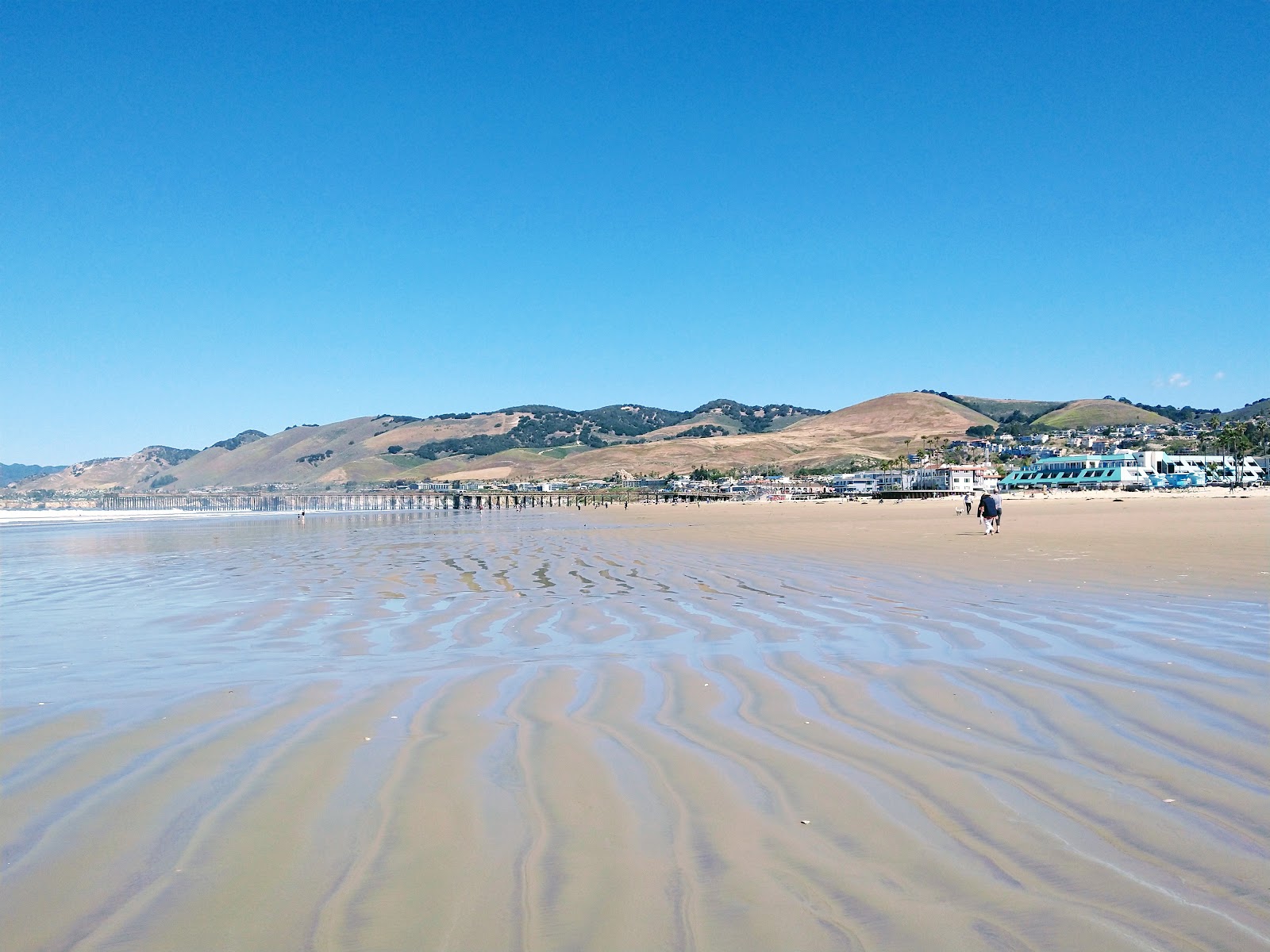 Oceano Campground at Pismo State Beach
